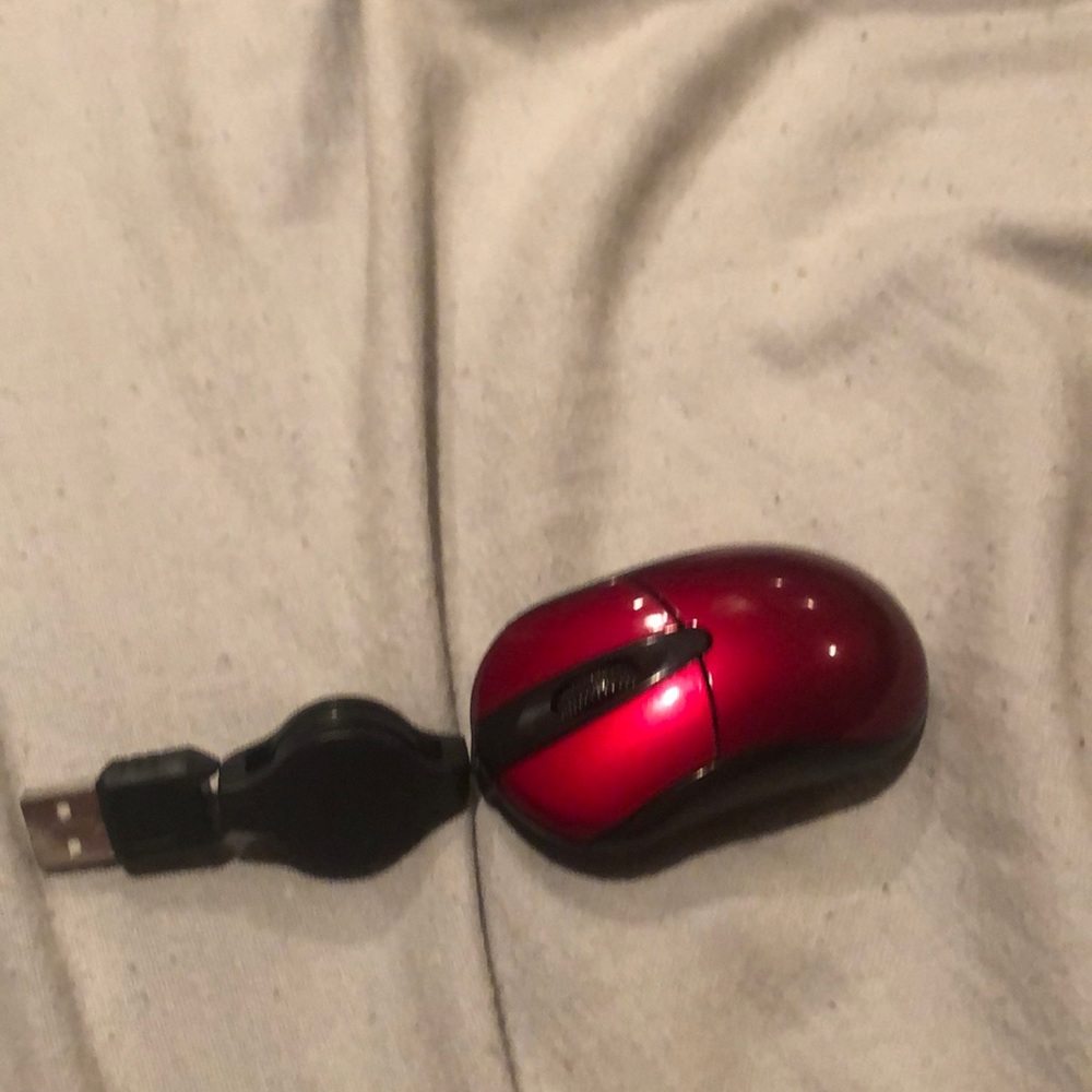 retracibal mouse
